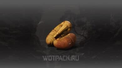 Винный червь в Black Myth Wukong: где найти и купить