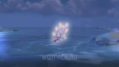 Violet Coral в Wuthering Waves: где найти фиолетовый коралл в ВуВе