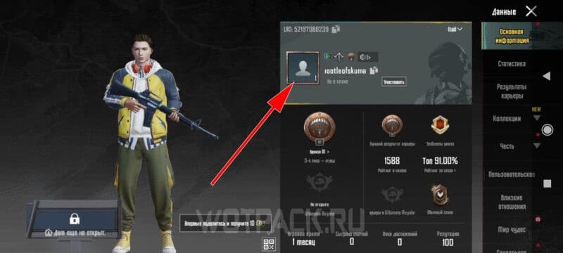 Как поставить свою аватарку в PUBG Mobile и загрузить фото