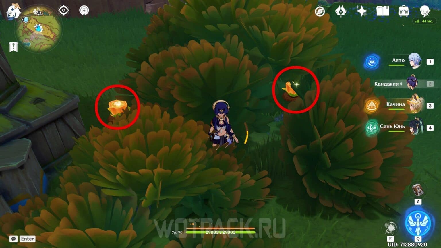 Cacahuatl in Genshin Impact Map, Where to Find and Buy