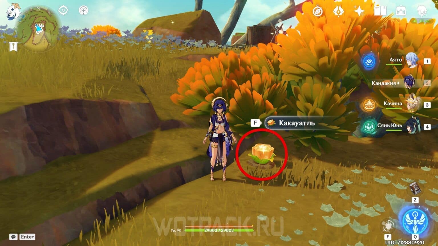 Cacahuatl in Genshin Impact Map, Where to Find and Buy