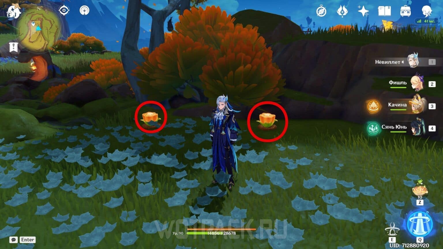 Cacahuatl in Genshin Impact Map, Where to Find and Buy