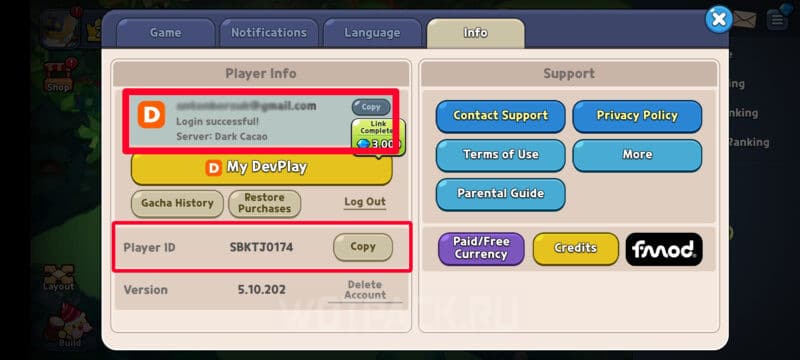 Где находится Player ID