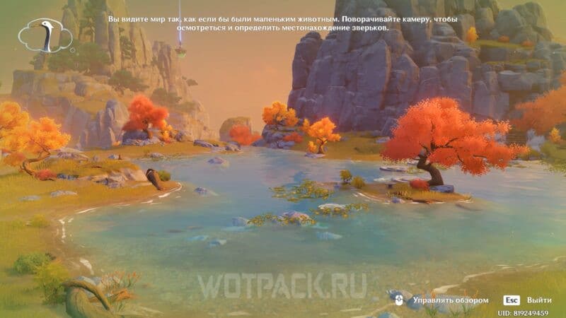 Вид от Принца (лазурного журавля)