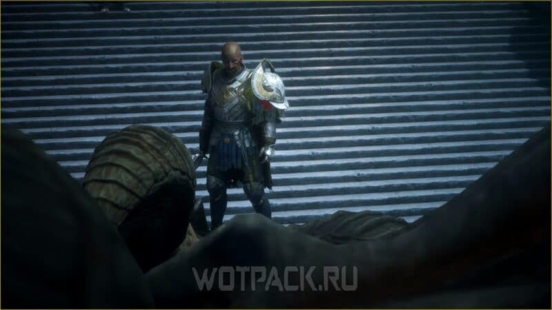 Первый Страж в Dragon Age The Veilguard