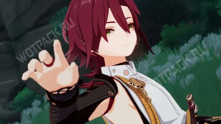 Сиканоин Хэйдзо в Genshin Impact [лучший билд]🌪️