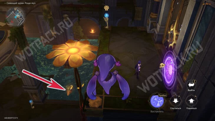 Все монеты причуд в Honkai Star Rail: как собрать рукой Загрея