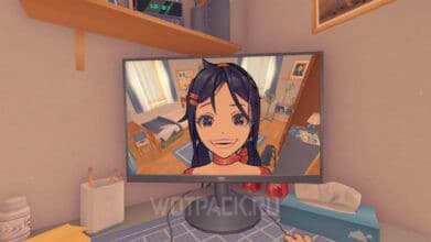 В чем суть игры MiSide и какой скрытый смысл