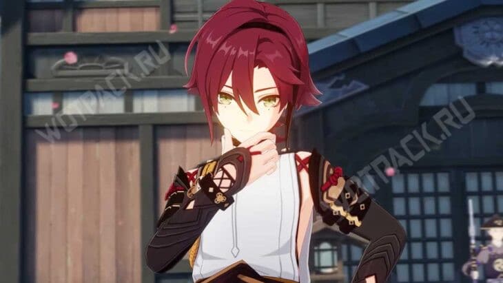 Сиканоин Хэйдзо в Genshin Impact [лучший билд]🌪️