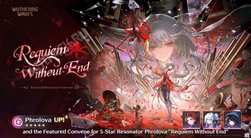 Баннер Фроловы во второй половине 3.3