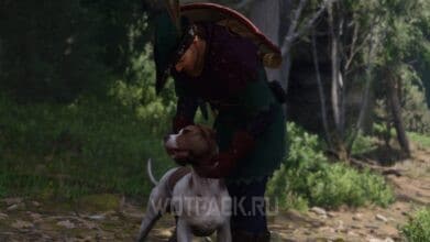 Барбос в Kingdom Come Deliverance 2: где найти собаку