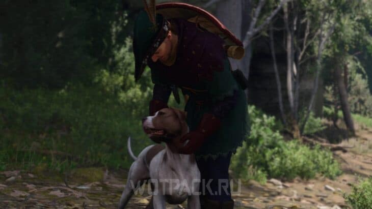 Барбос в Kingdom Come Deliverance 2
