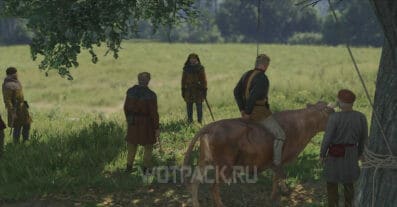 Чертова стая в Kingdom Come Deliverance 2: как исцелить Луцека и найти Ранека