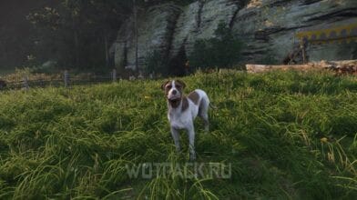 Как успокоить и покормить пса в Kingdom Come: Deliverance 2