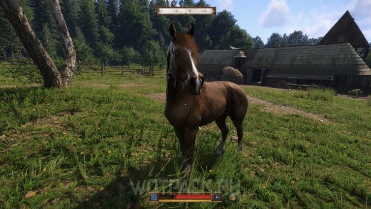 Лошадь в Kingdom Come Deliverance 2: где купить и найти