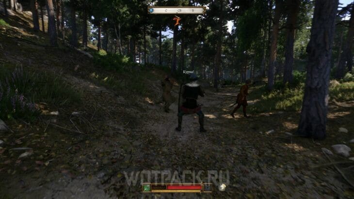 Деньги в Kingdom Come Deliverance 2: как заработать гроши