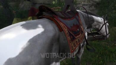 Лошадь в Kingdom Come Deliverance 2: где купить и найти