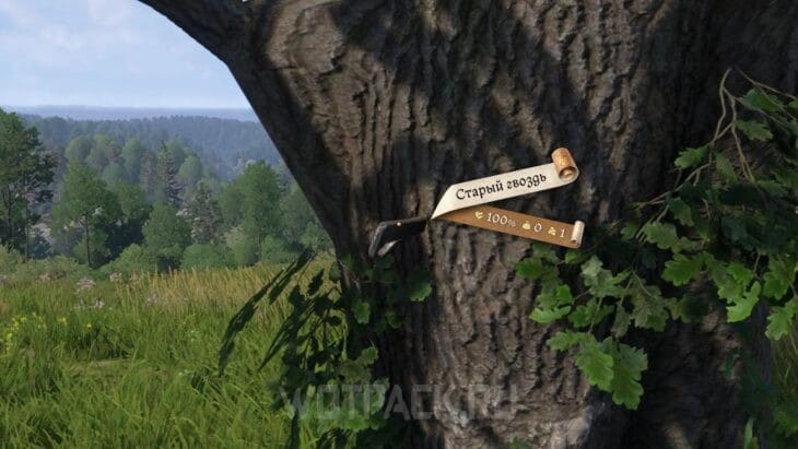 Межевой гвоздь в Kingdom Come Deliverance 2