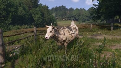 Мыши в Kingdom Come Deliverance 2: как усыпить и покрасить быка