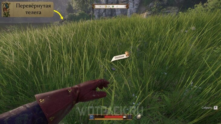 Окопник в Kingdom Come Deliverance 2: где найти и купить