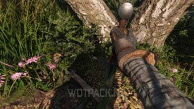 Отшельник в Kingdom Come Deliverance 2: где меч и могила отшельника
