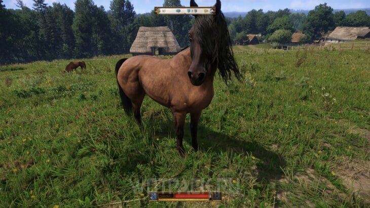 Лошадь в Kingdom Come Deliverance 2: где купить и найти