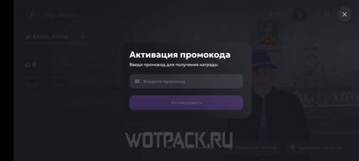 Куда вводить коды в Матрешке РП