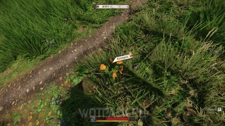 Роман с Кларой в Kingdom Come Deliverance 2: как завести отношения