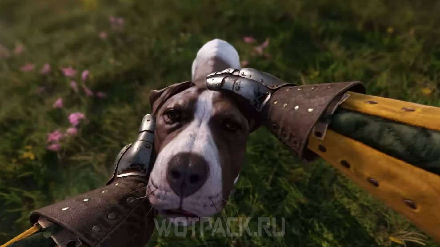 Время прохождения Kingdom Come Deliverance 2: сколько часов геймплея