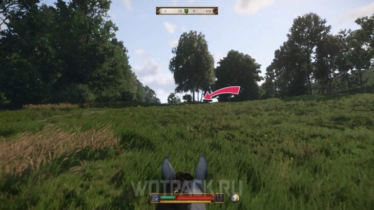 Барбос в Kingdom Come Deliverance 2: где найти собаку