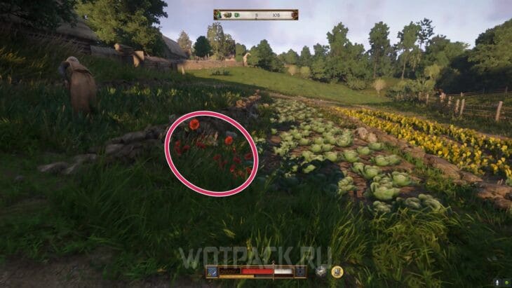 Мыши в Kingdom Come Deliverance 2: как усыпить и покрасить быка