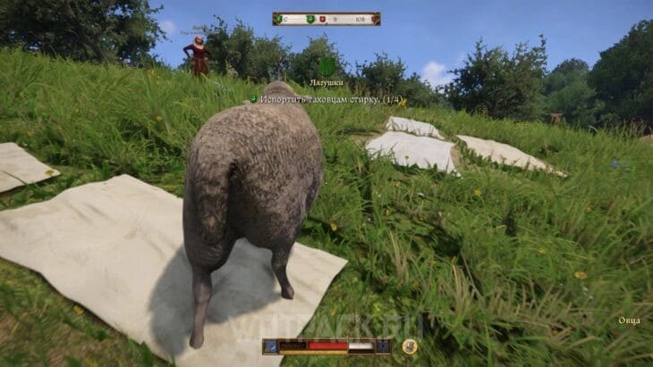 Лягушки в Kingdom Come Deliverance 2: как украсть таховский майский шест и пройти