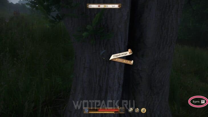 Межевой гвоздь в Kingdom Come Deliverance 2: где найти на пастбище