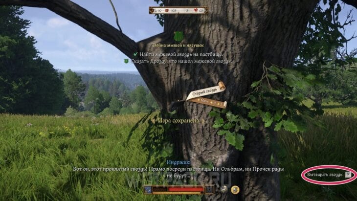 Межевой гвоздь в Kingdom Come Deliverance 2: где найти на пастбище
