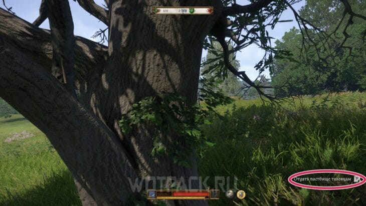 Межевой гвоздь в Kingdom Come Deliverance 2: где найти на пастбище