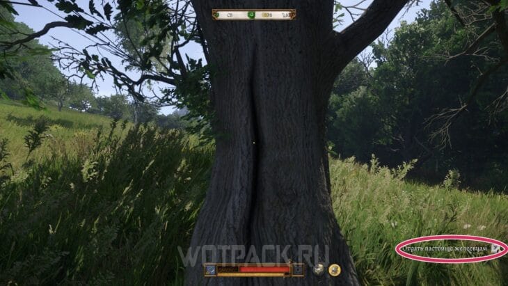 Межевой гвоздь в Kingdom Come Deliverance 2: где найти на пастбище