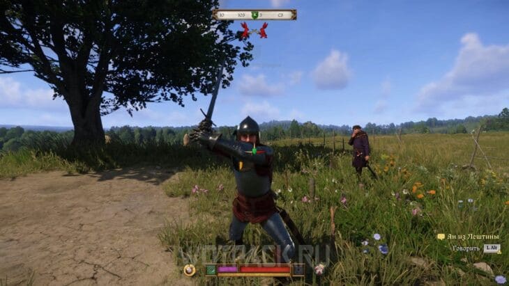 Дурная репутация в Kingdom Come Deliverance 2: найти что-нибудь с блохами
