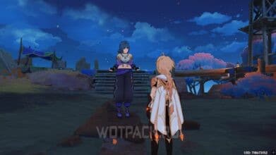 Его величество жир в Genshin Impact: вернитесь сюда позже