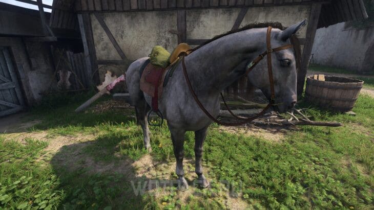 Лошадь Сивка в Kingdom Come Deliverance 2