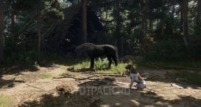 Конь Враник в Kingdom Come Deliverance 2: как забрать