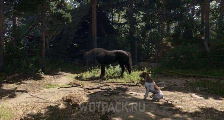 Конь Враник в Kingdom Come Deliverance 2