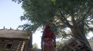 Гнездо в Kingdom Come Deliverance 2: как сбить и зачем оно нужно