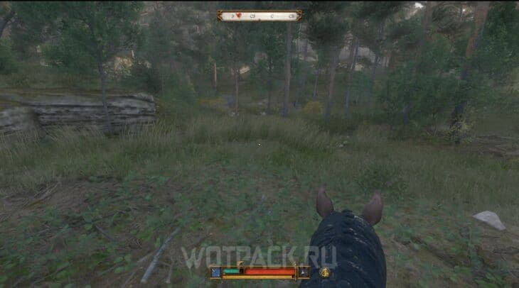 Место охоты на волков