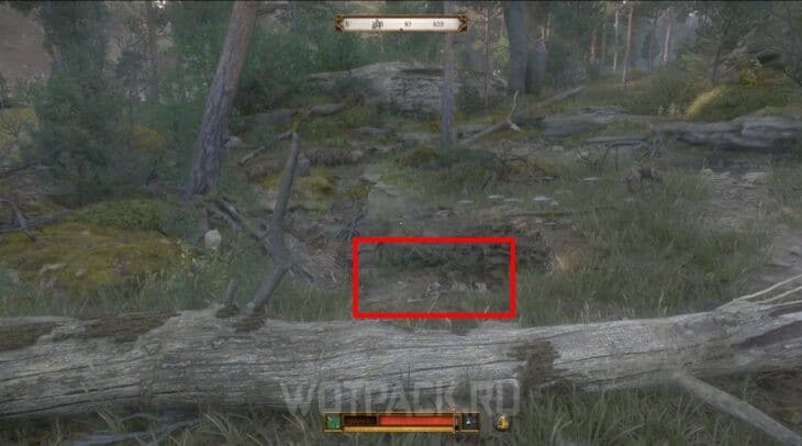 Яма со скелетом