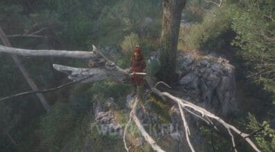 Два мертвых дерева в Kingdom Come Deliverance 2: где найти тайник разбойников
