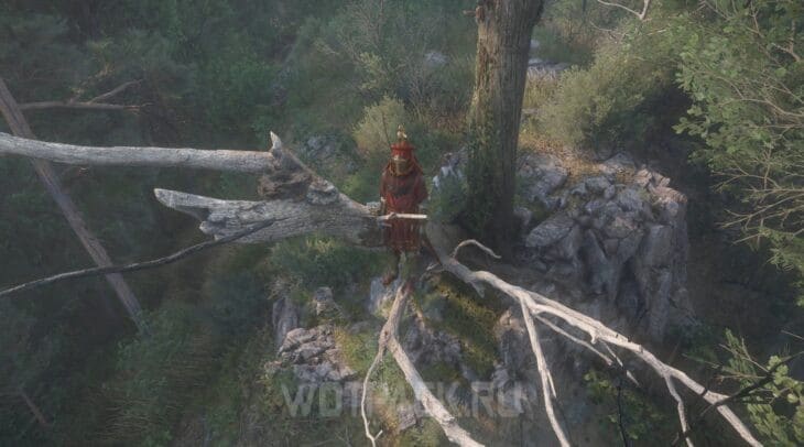 Два мертвых дерева в Kingdom Come Deliverance 2
