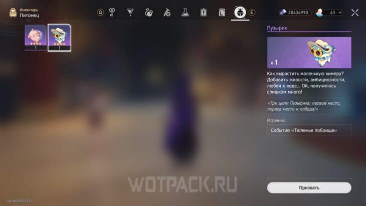Пузырик в инвентаре