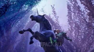 Моды для The Elder Scrolls IV Oblivion Remastered: как скачать и установить