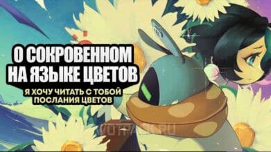 О сокровенном на языке цветов в ZZZ: как составить композицию и выполнить заказы