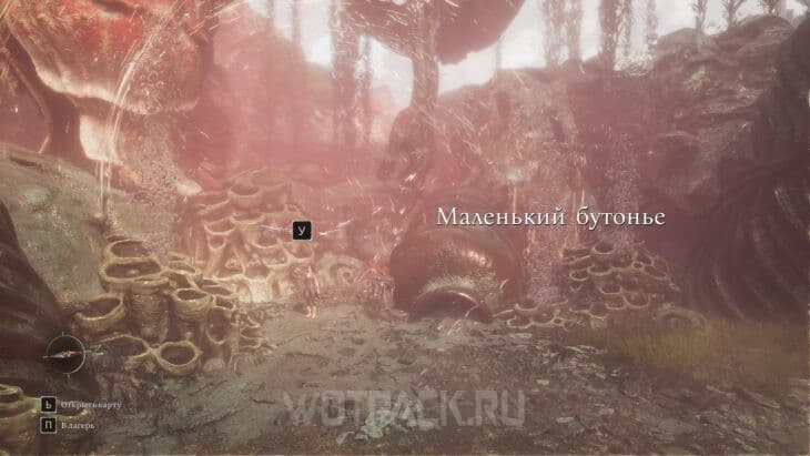 Вход в локацию Маленький бутонье